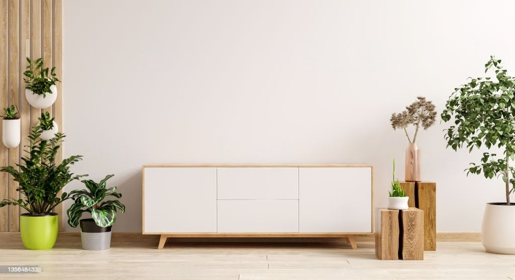 TV Stand NZ: Stylish and Functional