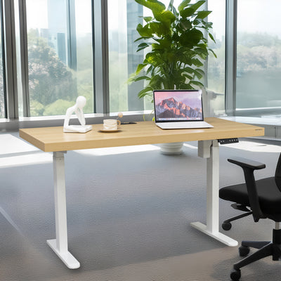 Asti Electrtic Standing Desk 1.6M, Oak